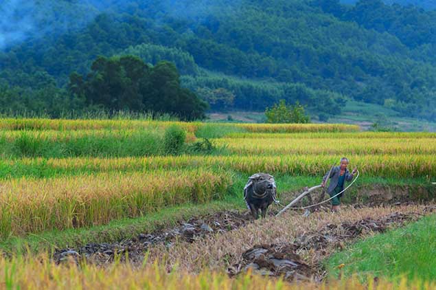 專業的配送團隊